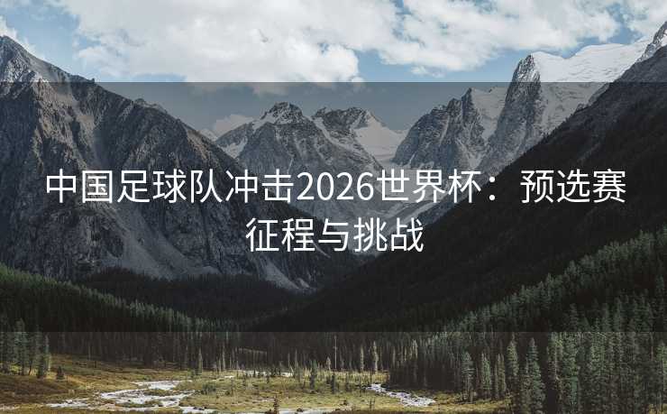 中国足球队冲击2026世界杯：预选赛征程与挑战